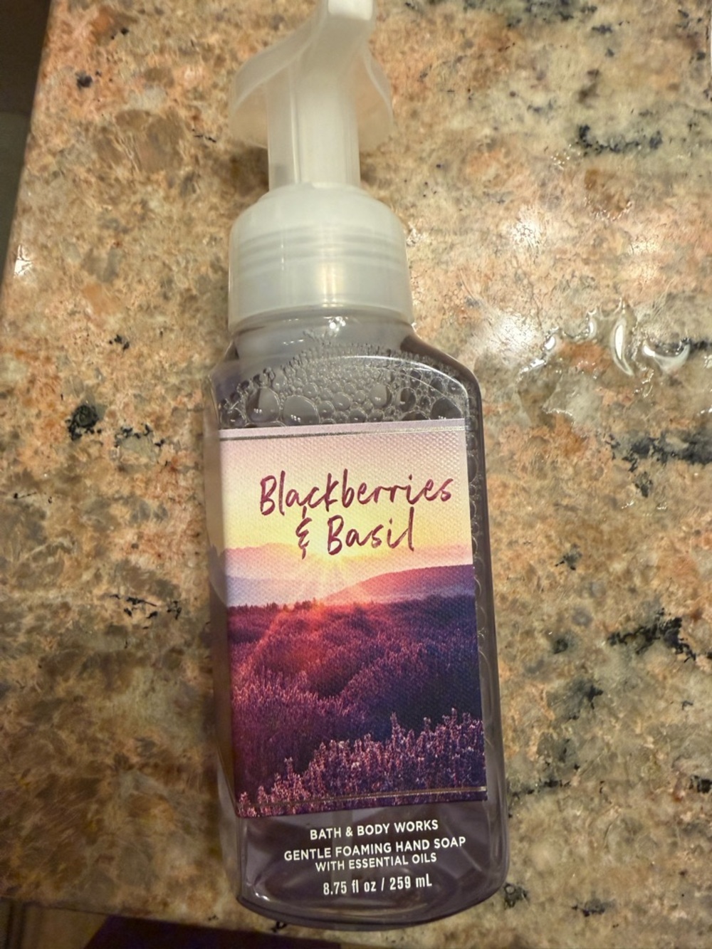 Bath & Body Works Blackberries & Basil Foaming Hand Soap - Purple